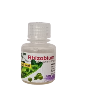 Mridamitra Rhizobium