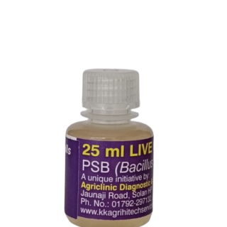 Mridamitra PSB